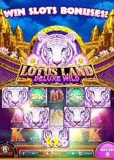 Casino VIP kk6